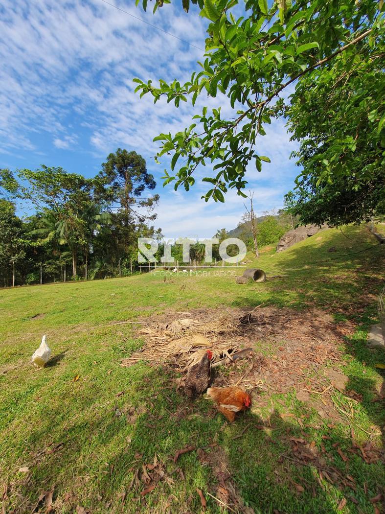 Lote/Terreno de 55000m² no bairro Bairro não informado, em Major Gercino | Eu Corretor