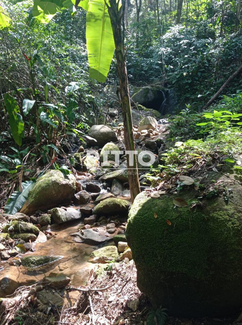 Fazenda/Sítios/Chácaras de 6735m² no bairro SERTÃO DO TROMBUDO, em Itapema | Eu Corretor