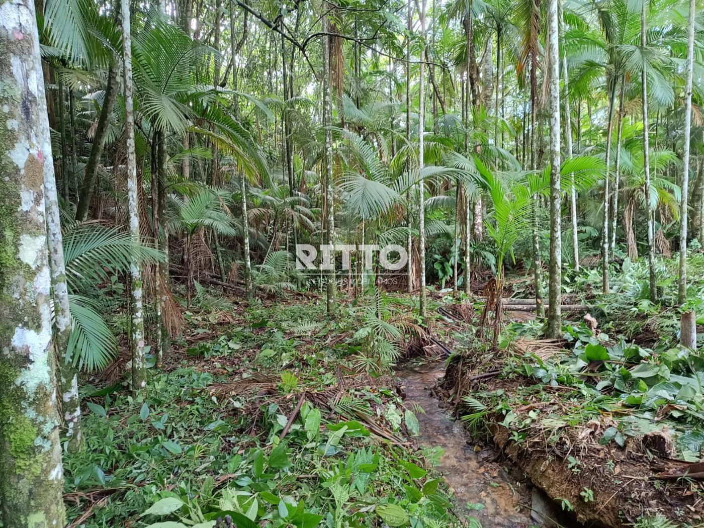 Fazenda/Sítios/Chácaras de 16800m² no bairro CARMELO DE DENTRO, em São João Batista | Eu Corretor