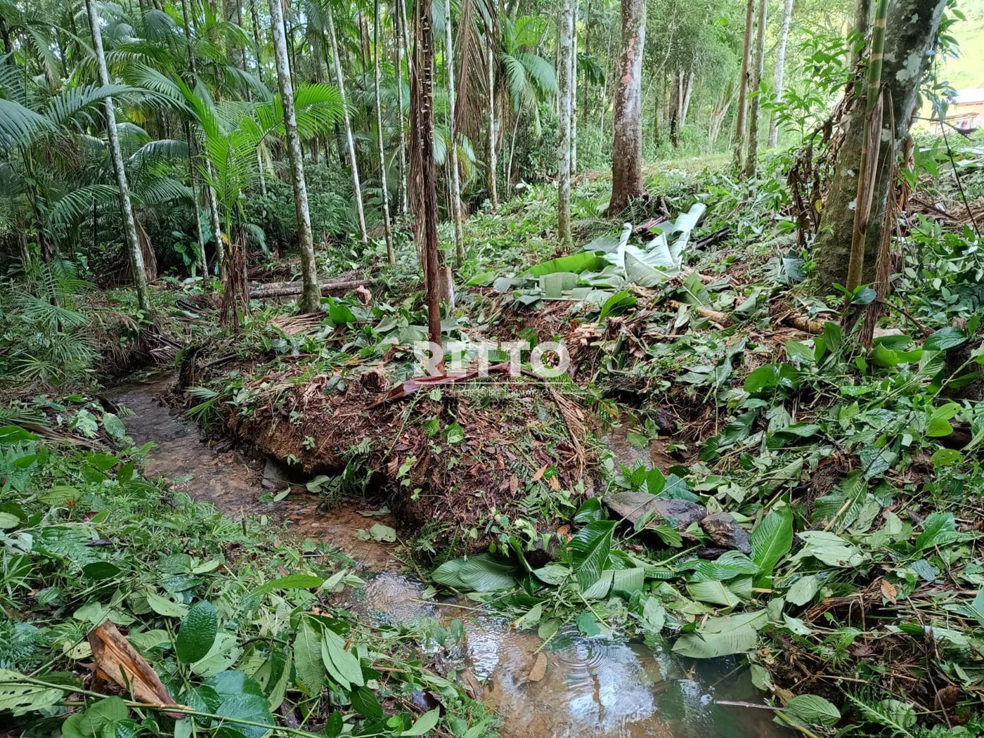 Fazenda/Sítios/Chácaras de 16800m² no bairro CARMELO DE DENTRO, em São João Batista | Eu Corretor