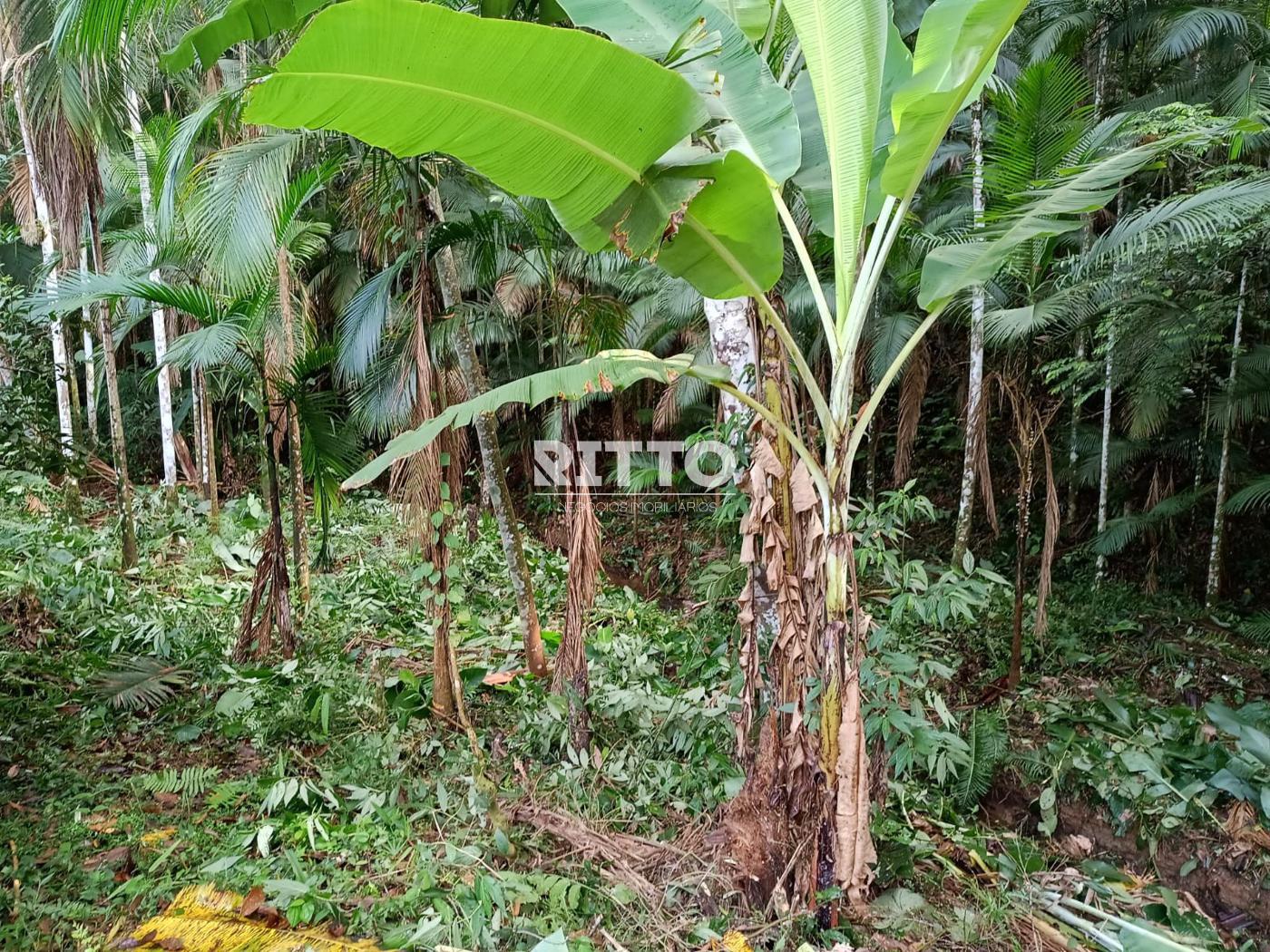 Fazenda/Sítios/Chácaras de 16800m² no bairro CARMELO DE DENTRO, em São João Batista | Eu Corretor