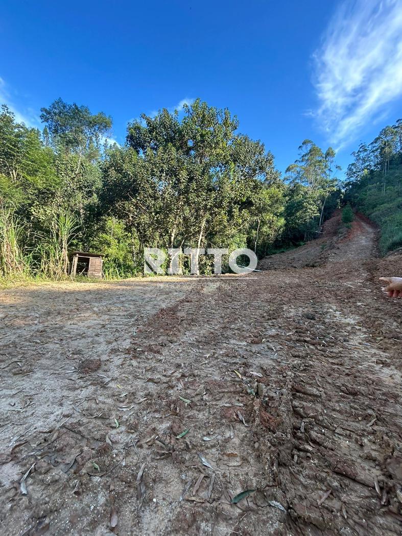 Lote/Terreno de 65546m² no bairro BAIXO PITANGA, em Nova Trento | Eu Corretor