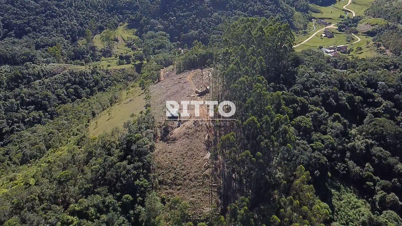 Fazenda/Sítios/Chácaras de 7080m² no bairro CARMELO DE DENTRO, em São João Batista | Eu Corretor