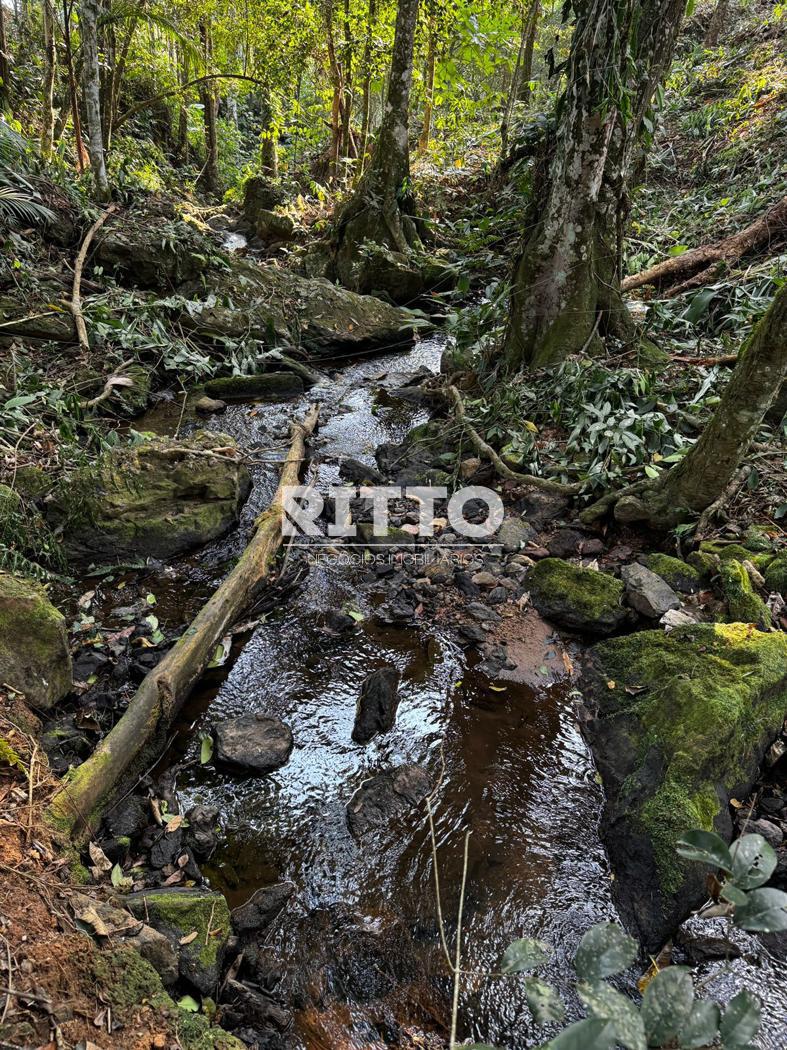 Fazenda/Sítios/Chácaras de 8044m² no bairro MOURA, em Canelinha | Eu Corretor