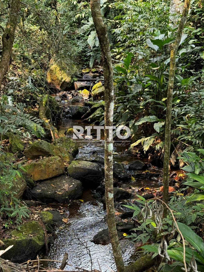 Fazenda/Sítios/Chácaras de 5251m² no bairro MOURA, em Canelinha | Eu Corretor