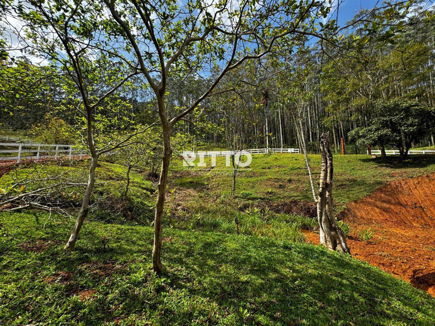 Fazenda/Sítios/Chácaras de 3926m² no bairro MOURA, em Canelinha | Eu Corretor