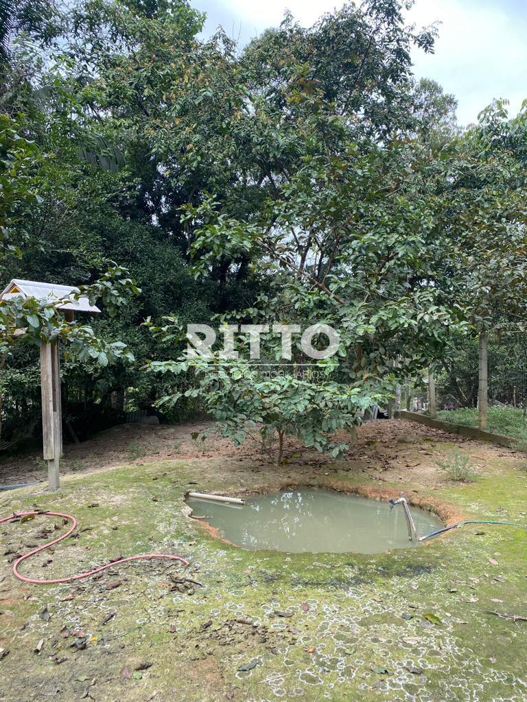 Lote/Terreno de 3000m² no bairro Indaia, em Nova Trento | Eu Corretor