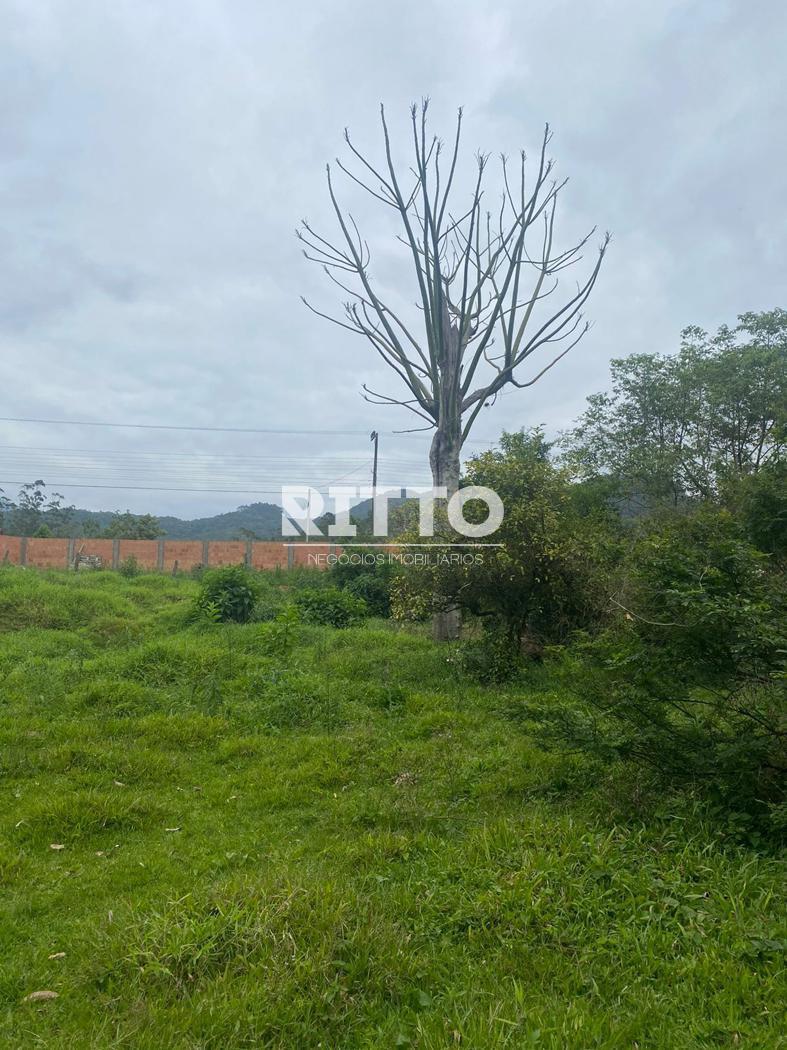 Lote/Terreno de 1384m² no bairro FERNANDES, em São João Batista | Eu Corretor