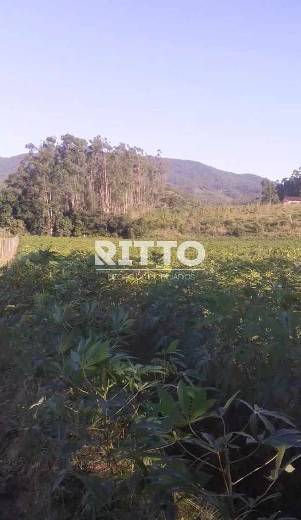 Fazenda/Sítios/Chácaras de 53043m² no bairro COLÕNIA, em São João Batista | Eu Corretor