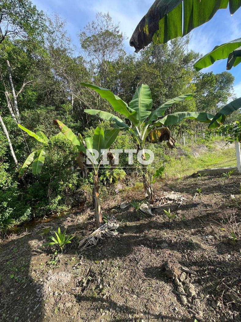 Lote/Terreno de 1300m² no bairro SERTÃO  VALONGO, em Tijucas | Eu Corretor