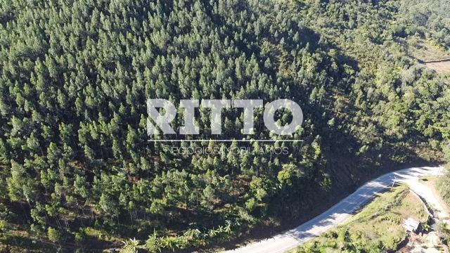 Fazenda/Sítios/Chácaras de no bairro MORRO DA ONÇA, em Nova Trento | Eu Corretor