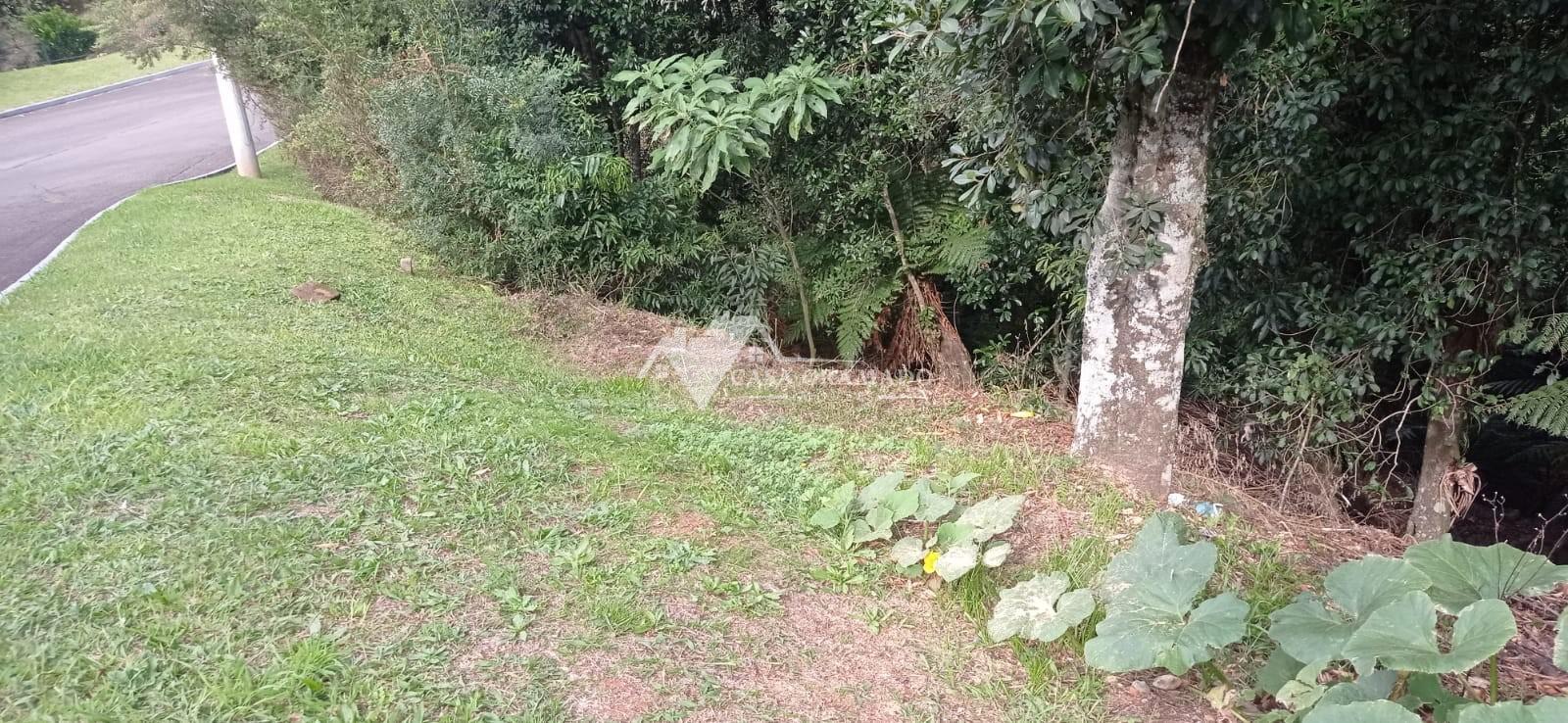 Terreno à venda, 1900m² - Foto 3