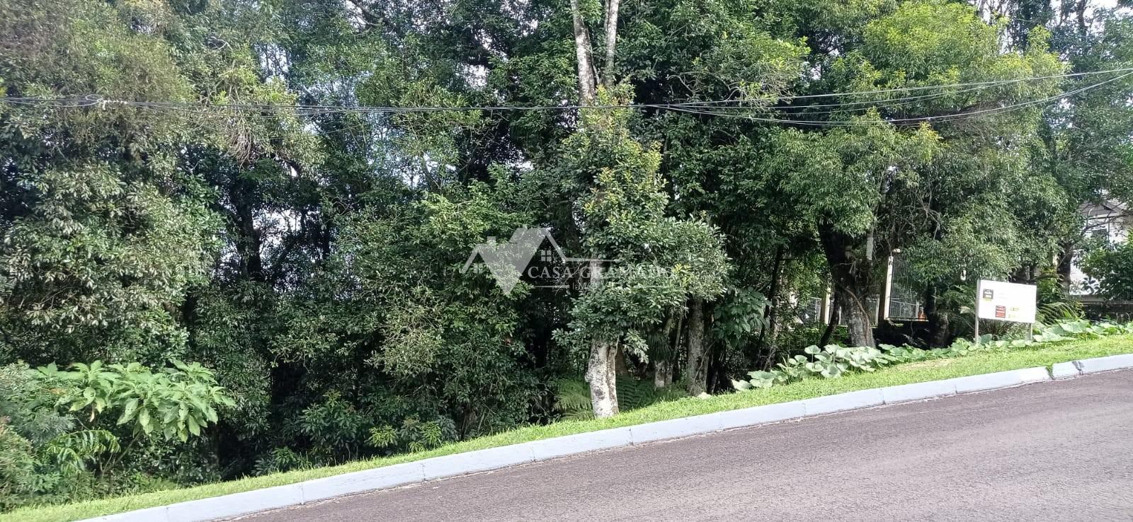 Terreno à venda, 1900m² - Foto 2