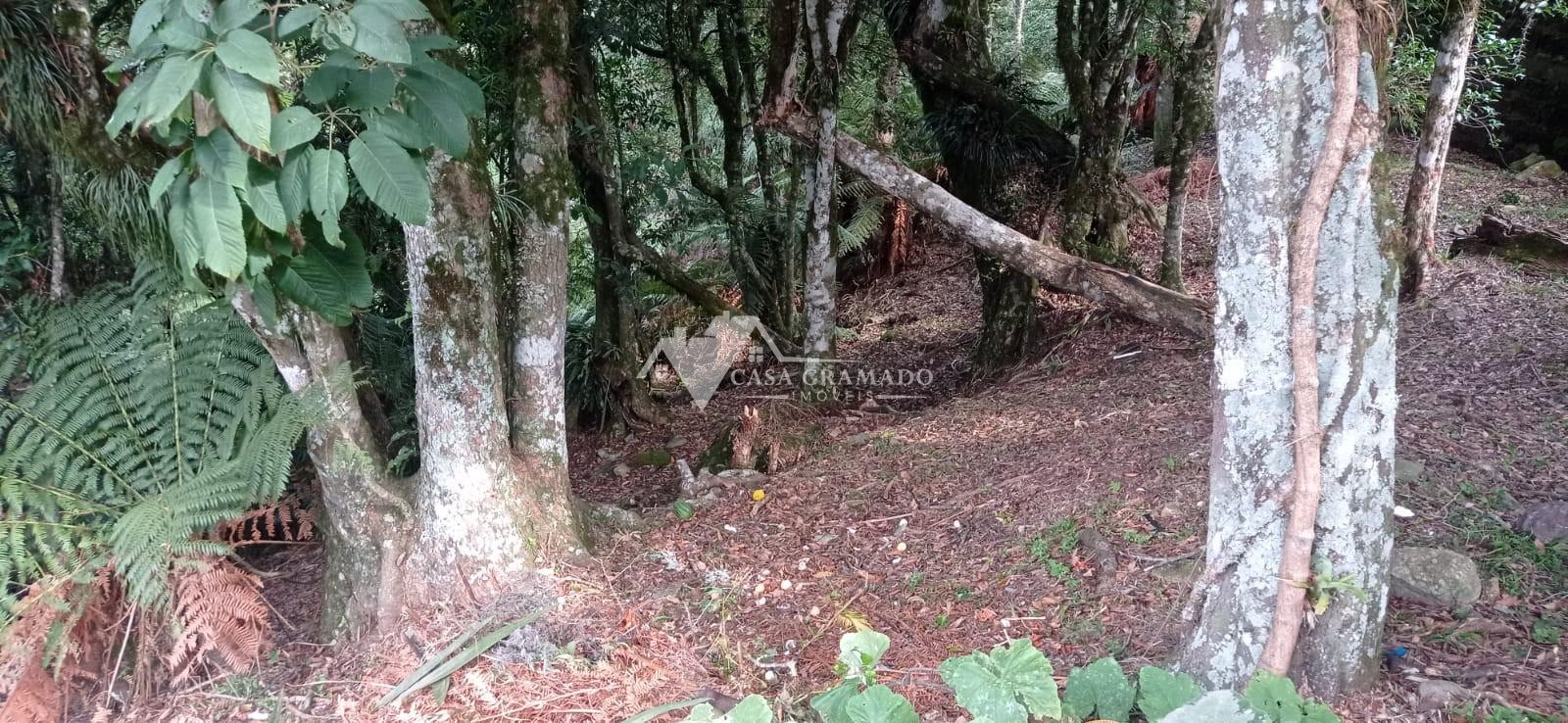 Terreno à venda, 1900m² - Foto 5