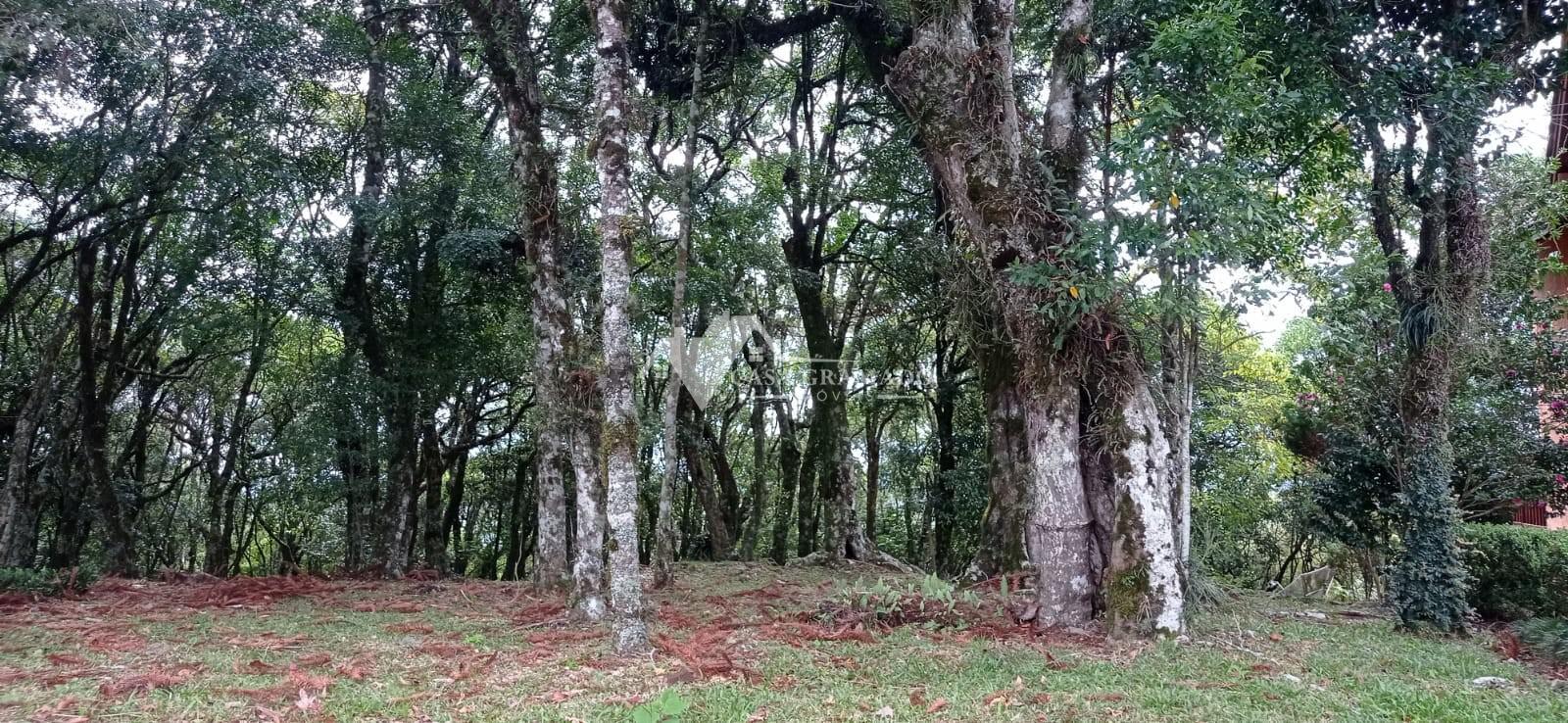 Terreno à venda, 1593m² - Foto 9