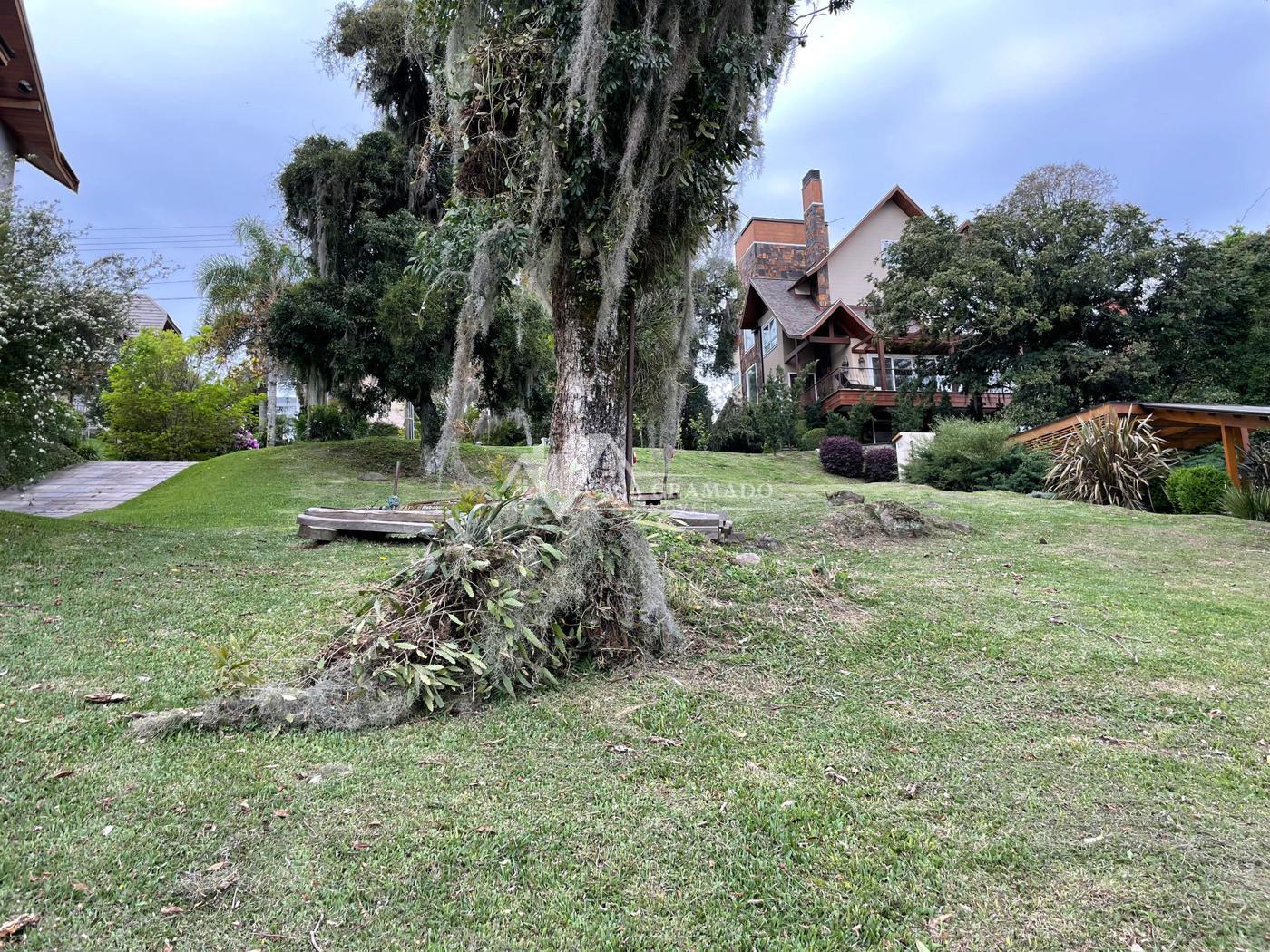 Terreno à venda - Foto 14