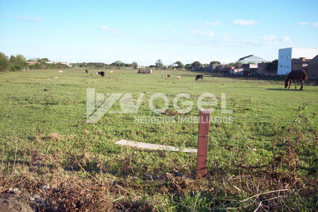 Fazenda à venda - Foto 1