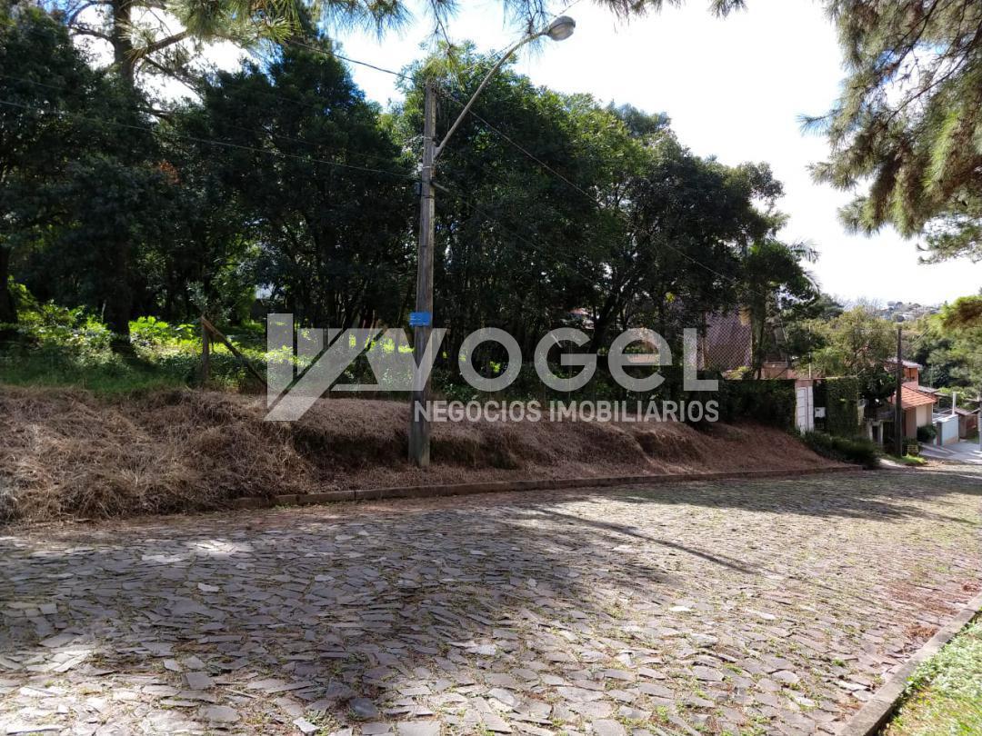 Fazenda à venda, 2389m² - Foto 3