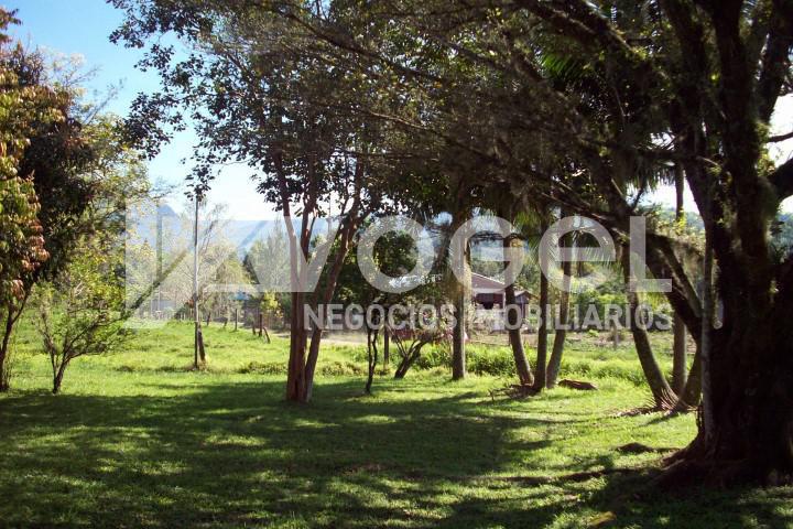 Fazenda à venda, 5000m² - Foto 4