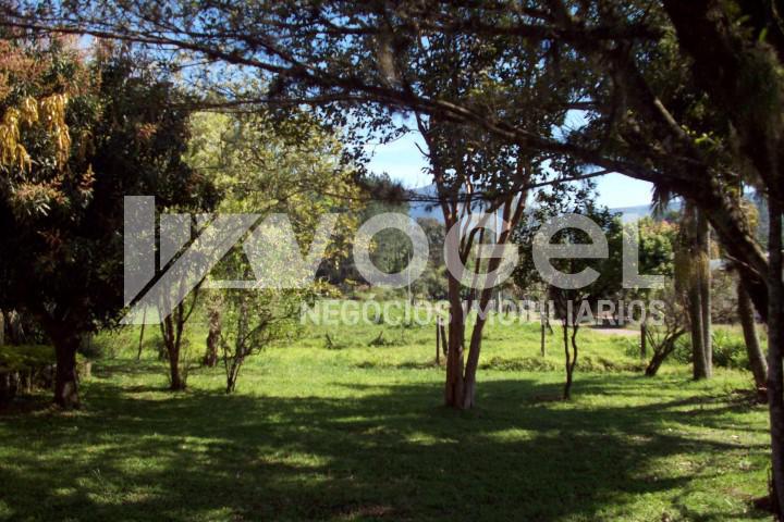 Fazenda à venda, 5000m² - Foto 6