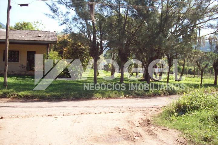 Fazenda à venda, 5000m² - Foto 16