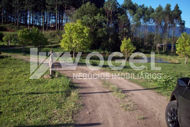 Fazenda à venda, 5000m² - Foto 43