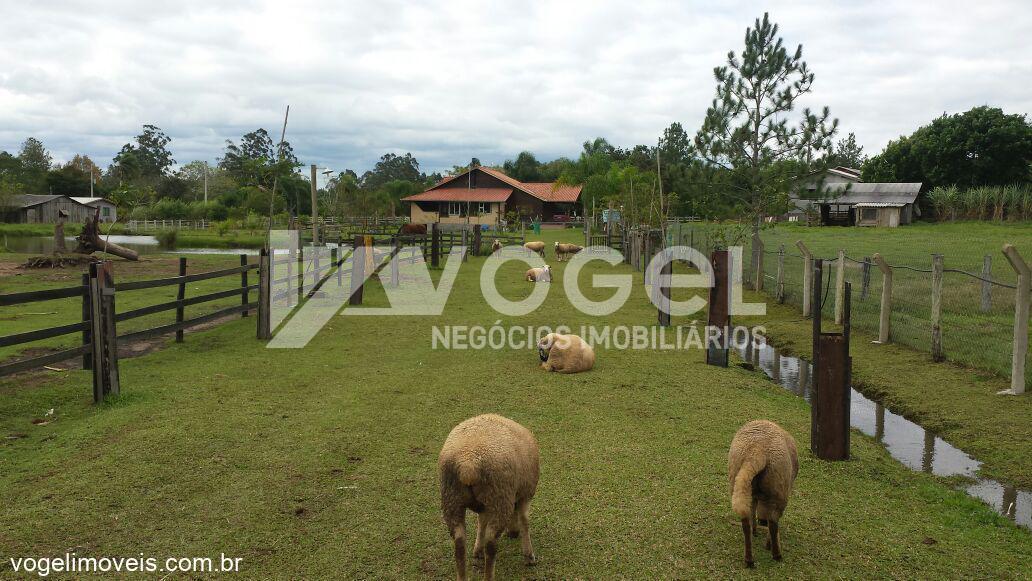 Fazenda à venda, 10000m² - Foto 1