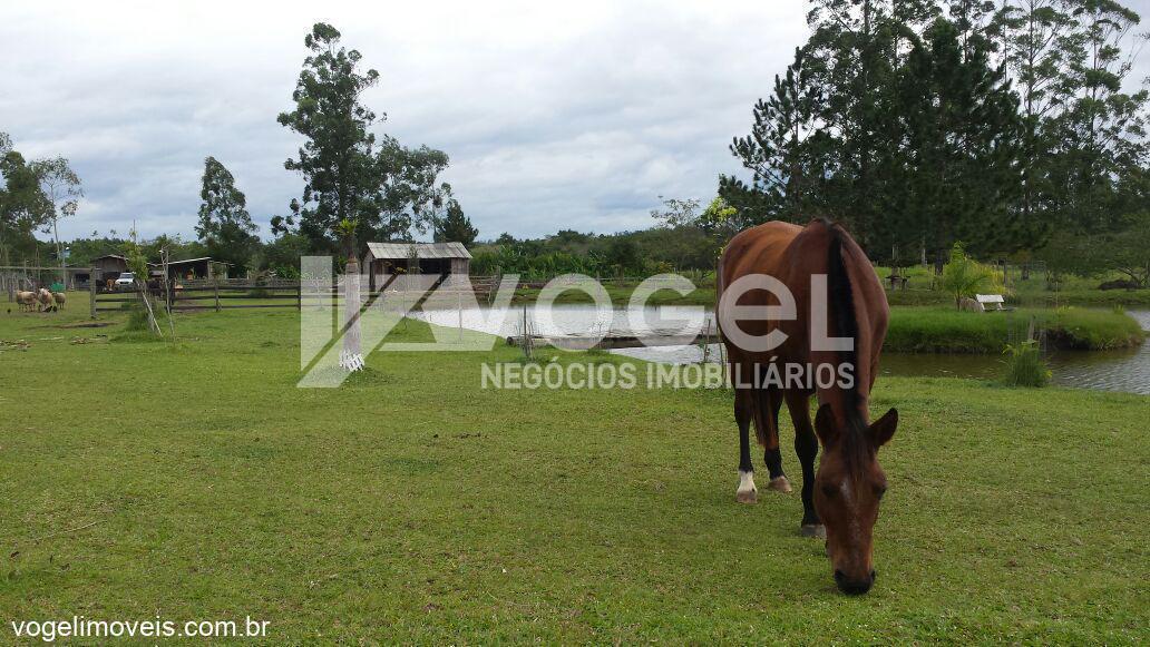 Fazenda à venda, 10000m² - Foto 3