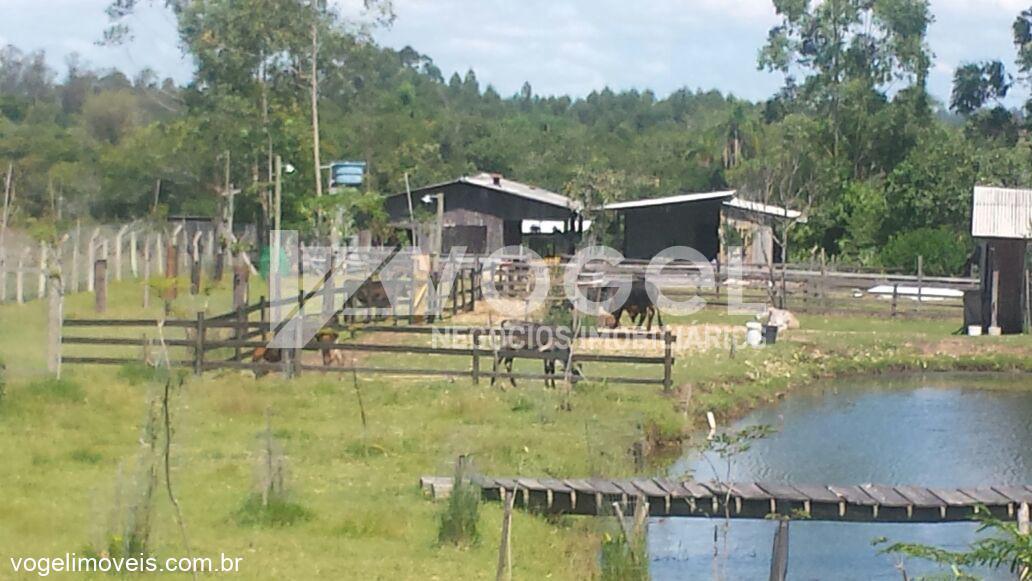 Fazenda à venda, 10000m² - Foto 9