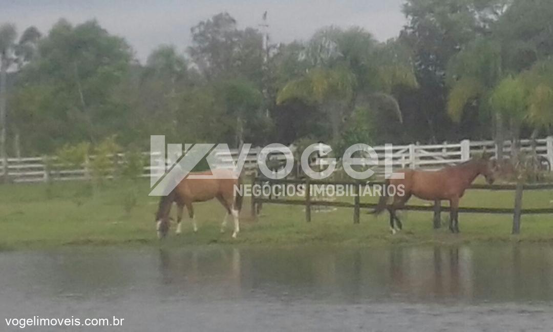 Fazenda à venda, 10000m² - Foto 27