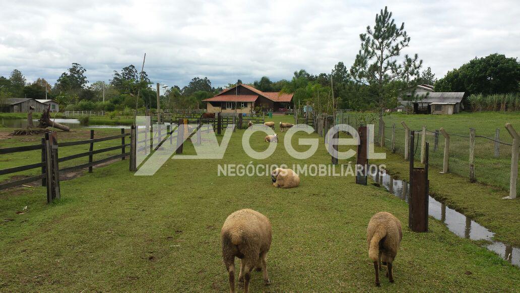 Fazenda à venda, 10000m² - Foto 28