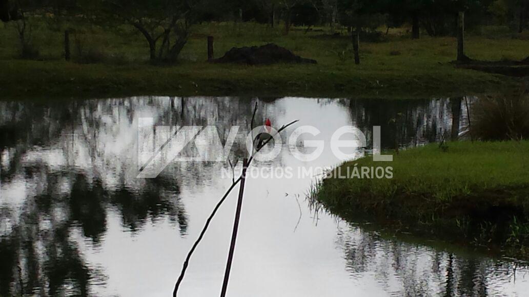 Fazenda à venda, 10000m² - Foto 29