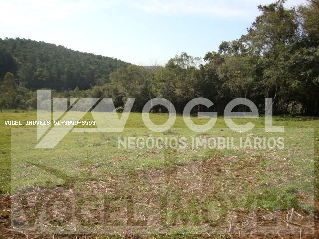 Fazenda à venda, 13000m² - Foto 7